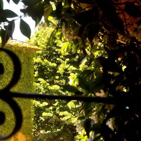 Borgo Lucignanello Bandini Villa San Giovanni d'Asso Bagian luar foto