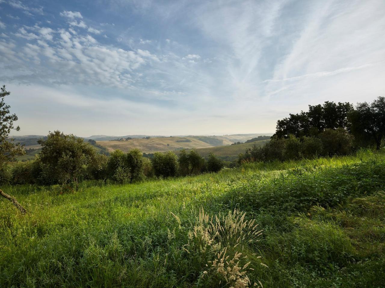 Borgo Lucignanello Bandini Villa San Giovanni d'Asso Bagian luar foto