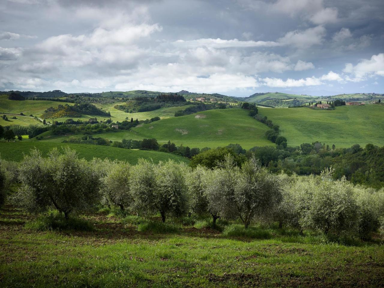 Borgo Lucignanello Bandini Villa San Giovanni d'Asso Bagian luar foto